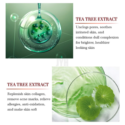 ODM Tea Tree Oil Serum OEM منتجات العناية بالبشرة خالية من الرائحة